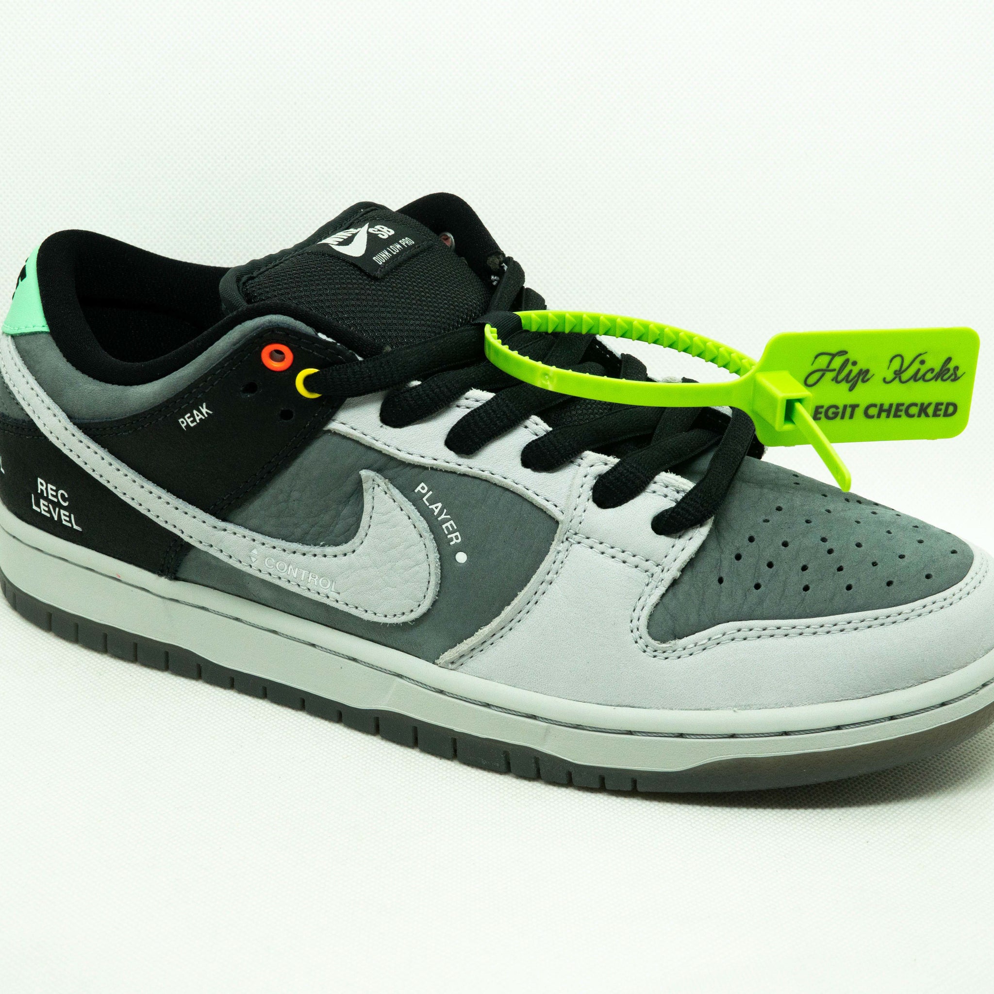 SB Dunk Low VX1000